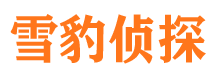 泰山市场调查